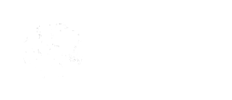 AA Travelzone